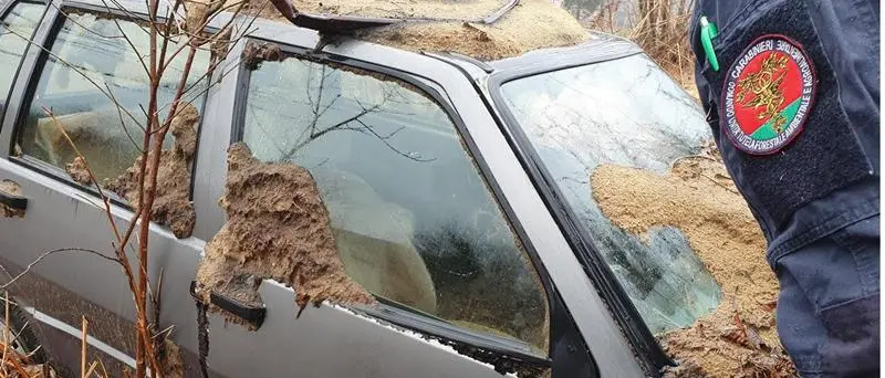 Veicoli abbandonati nel Vibonese, sanzioni dai carabinieri forestali