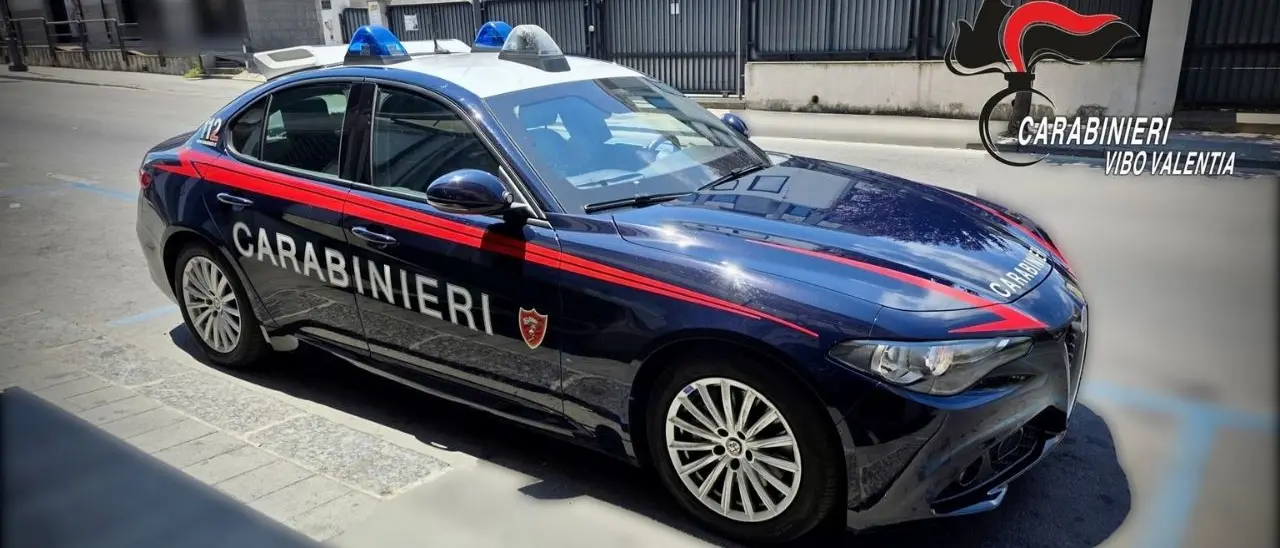 Provoca un incidente a Vibo e fugge senza prestare soccorso ai feriti: identificato un giovane di Sant'Onofrio