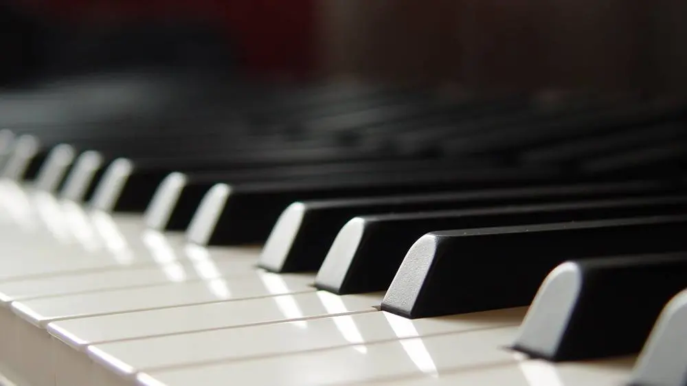 Timo Boesch - Fotolia