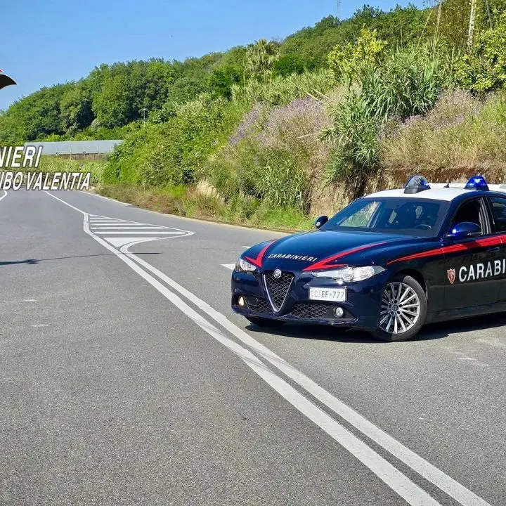 San Gregorio, 31enne arrestato per violazione della sorveglianza speciale: sorpreso di notte a Vibo alla guida del suo autocarro