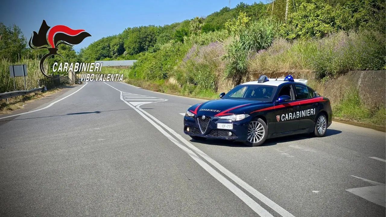 San Gregorio, 31enne arrestato per violazione della sorveglianza speciale: sorpreso di notte a Vibo alla guida del suo autocarro