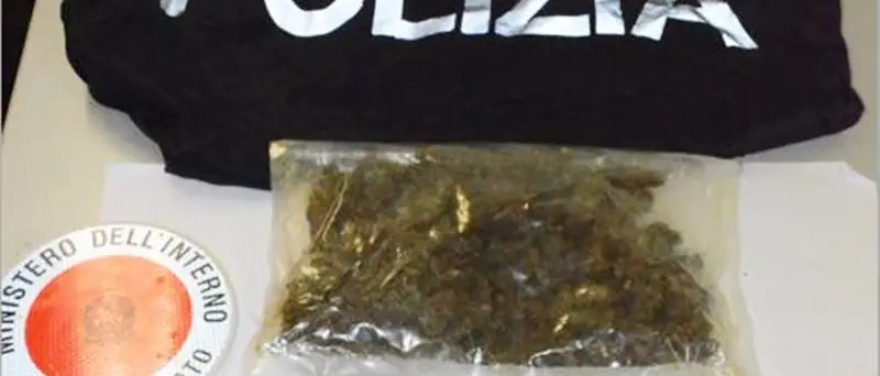 Marijuana a Tropea, revocato obbligo di dimora