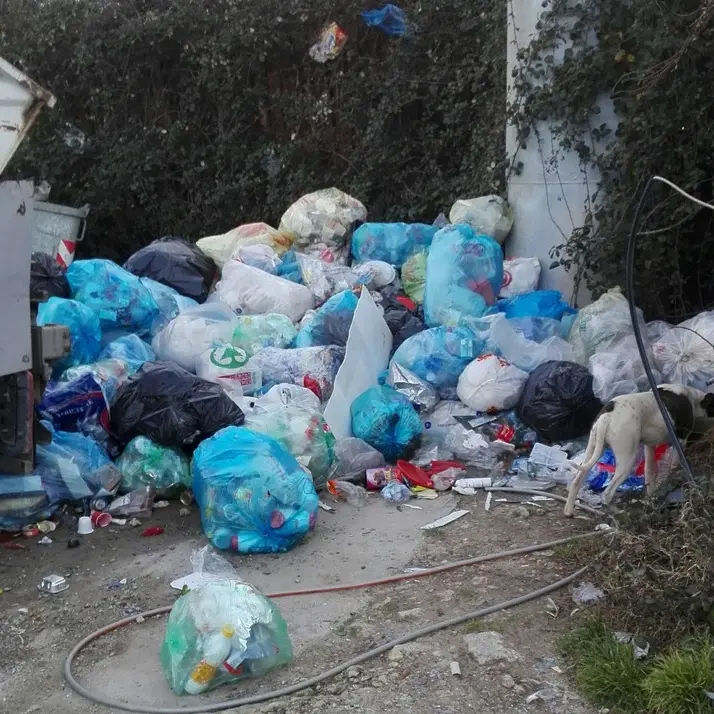 Filandari, discarica a cielo aperto “creata” dal Comune - Foto