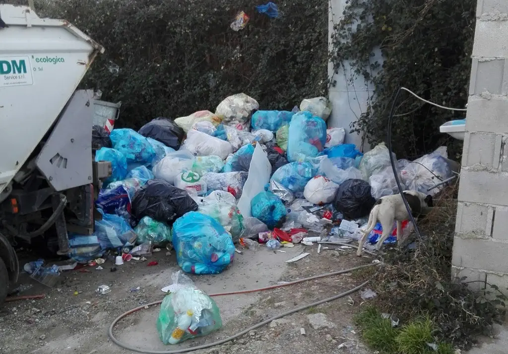 Filandari, discarica a cielo aperto “creata” dal Comune - Foto