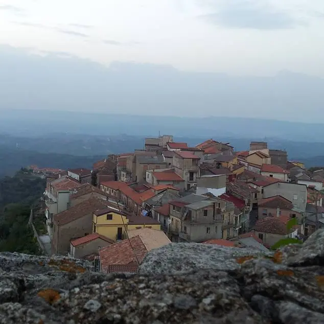 Arena, nuovo focolaio Covid e il sindaco denuncia: «Siamo stati abbandonati»