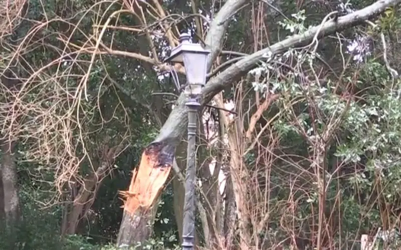 Vibo, Villa Gagliardi chiusa e lasciata nella sporcizia – Video