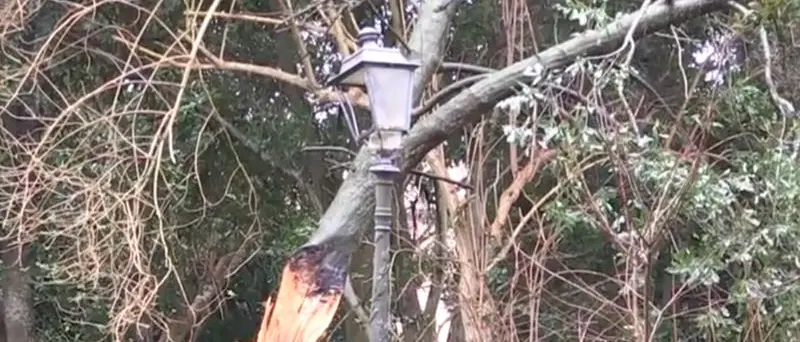 Vibo, Villa Gagliardi chiusa e lasciata nella sporcizia – Video