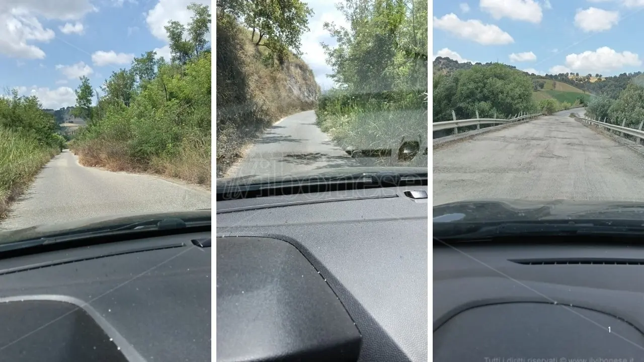 In auto da Mileto a Dinami come in un episodio di Last of Us: il mondo civilizzato scompare in un safari tra buche, rovi e fauna locale