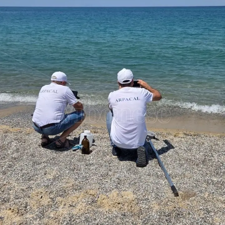 Quel “brodo verde” non fa male, Arpacal diffonde i risultati sulla fioritura algale nel mare di Pizzo