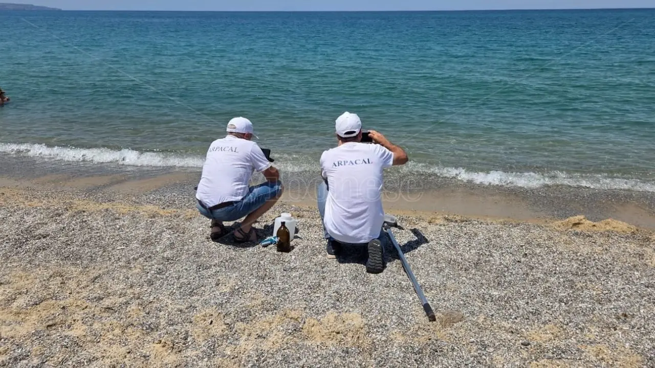 Quel “brodo verde” non fa male, Arpacal diffonde i risultati sulla fioritura algale nel mare di Pizzo