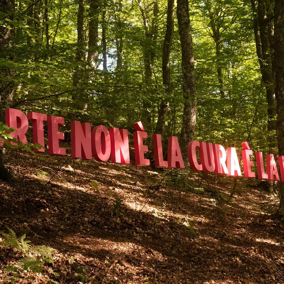 Face Festival Aspromondo al via: performance, storytelling e cinque nuove opere per il Bosco degli Artisti\n