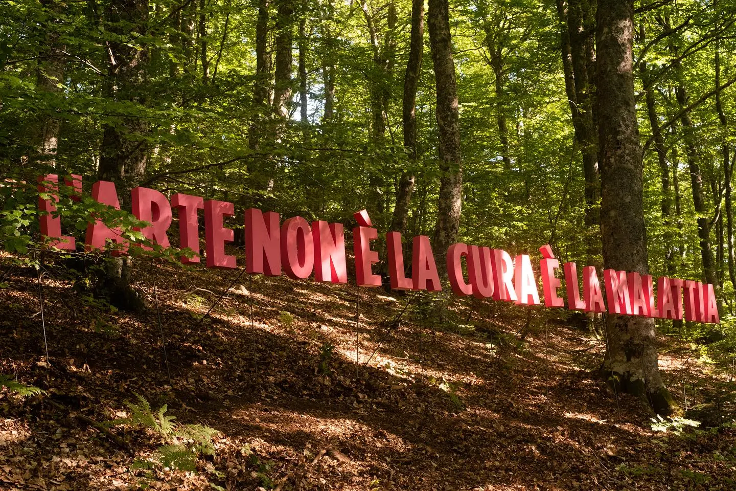 Face Festival Aspromondo al via: performance, storytelling e cinque nuove opere per il Bosco degli Artisti\n