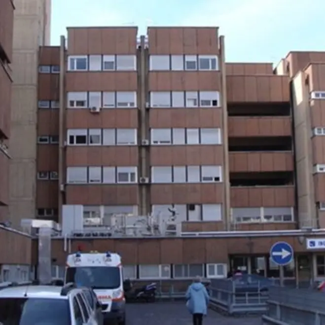 West Nile virus, a Reggio il primo decesso in Calabria. Kunkar: «Nessun allarmismo ma serve bonificare i territori»