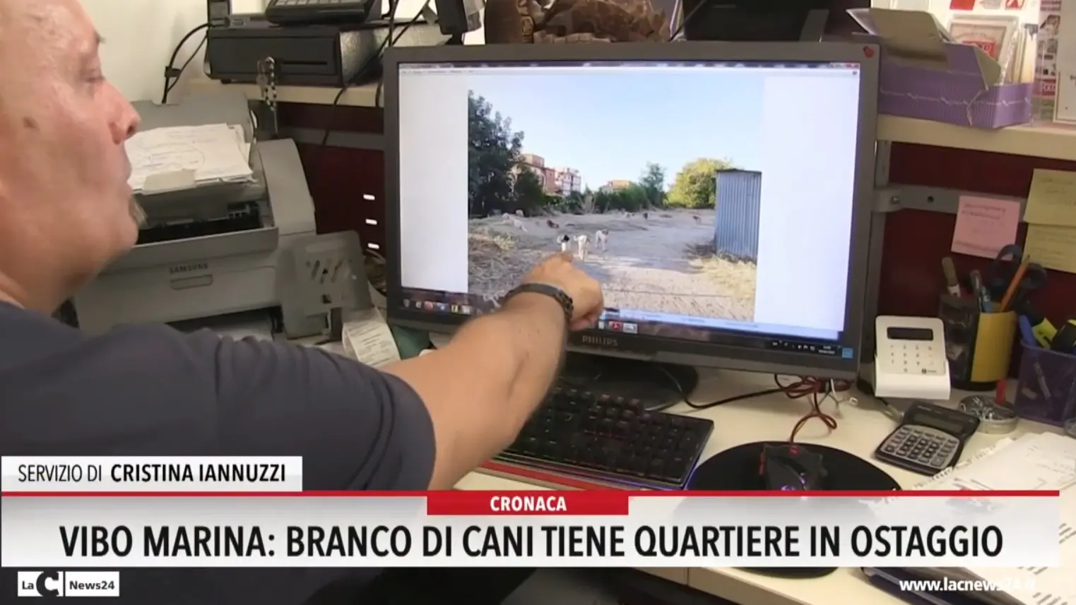 Vibo Marina, branco di cani tiene quartiere in ostaggio