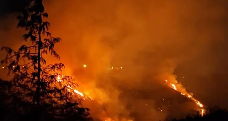 Incendio a Laurignano, fiamme visibili da Cosenza\n