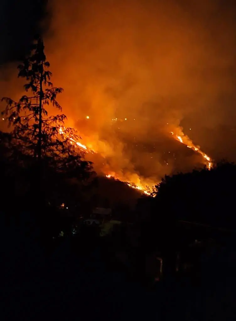 Incendio a Laurignano, fiamme visibili da Cosenza\n