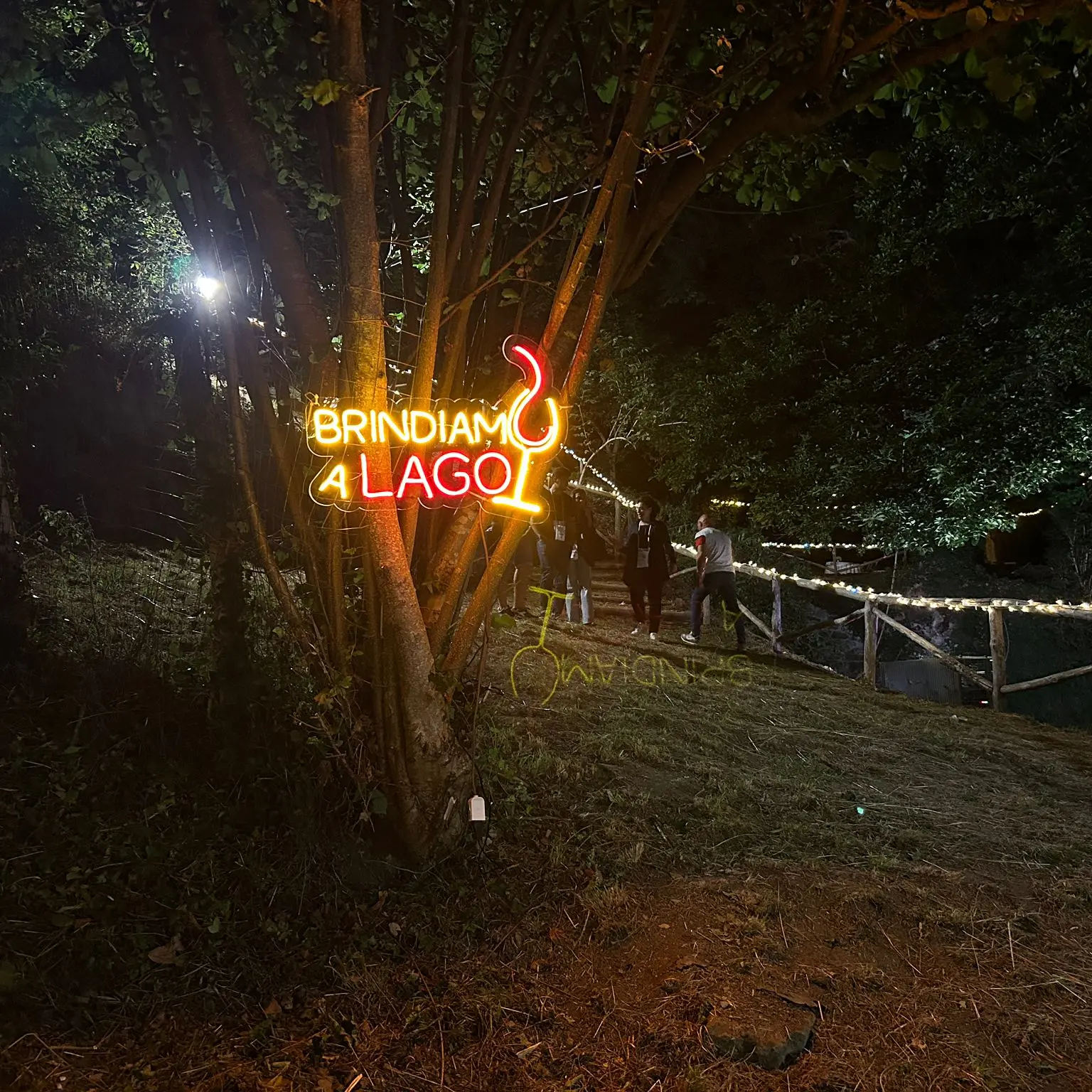 Wine Art Fest di Lago, un’esperienza tutta da vivere | FOTO