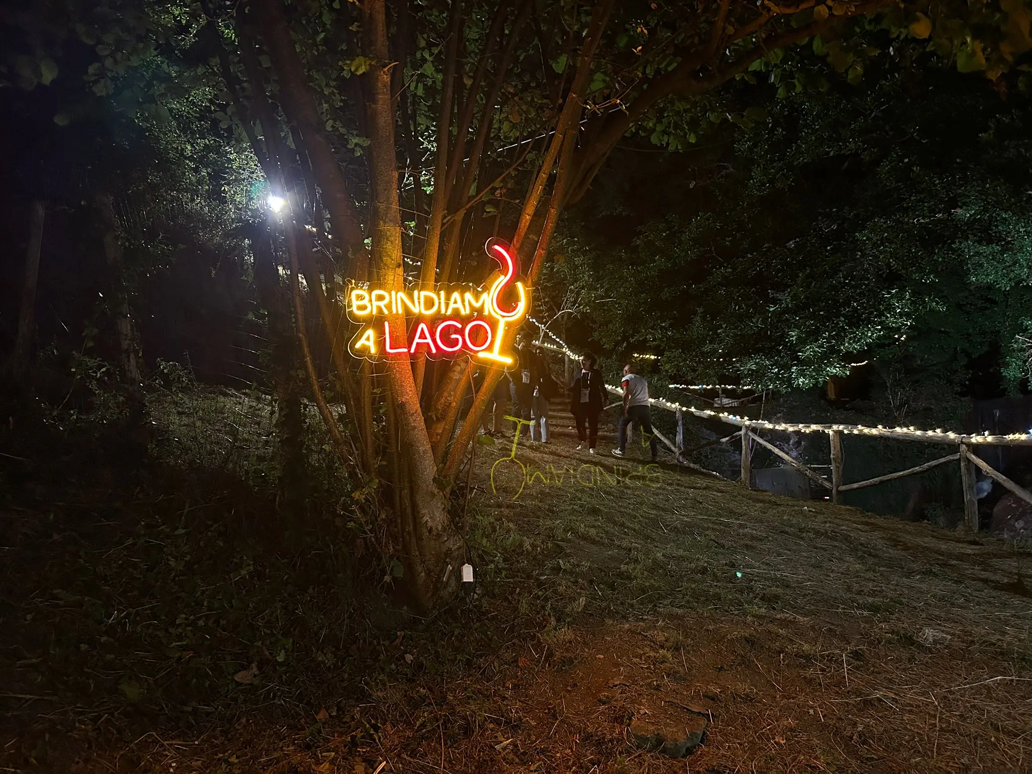 Wine Art Fest di Lago, un’esperienza tutta da vivere | FOTO