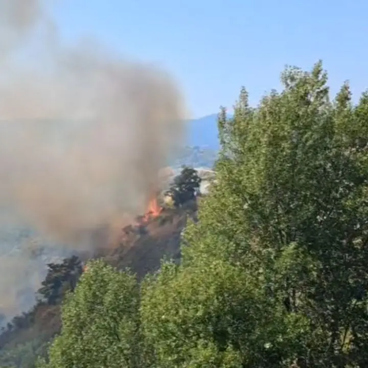 Incendio a Tessano, fiamme divampano in un costone collinare\n