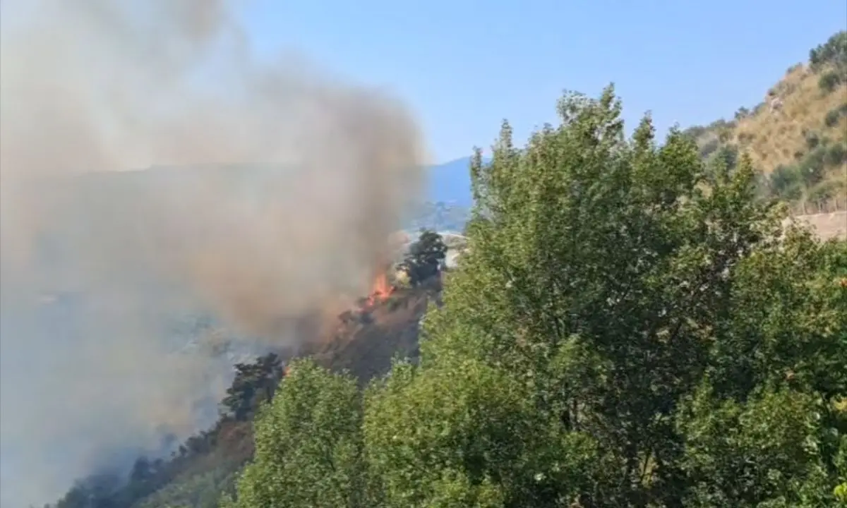 Incendio a Tessano, fiamme divampano in un costone collinare\n