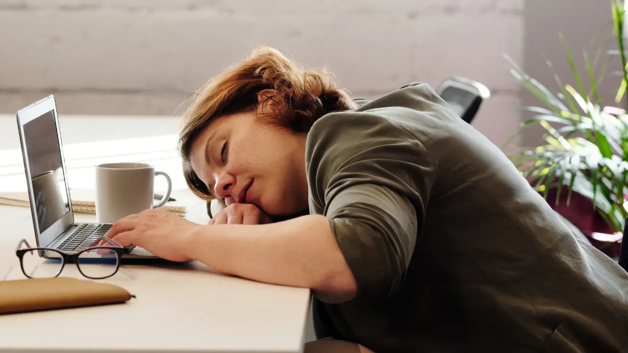 Pisolini, love leave e maggiordomi aziendali: quando il lavoro diventa quasi una vacanza\n