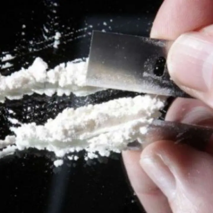 In hotel con 200 grammi di cocaina, calabrese\u00A0arrestato nel Torinese