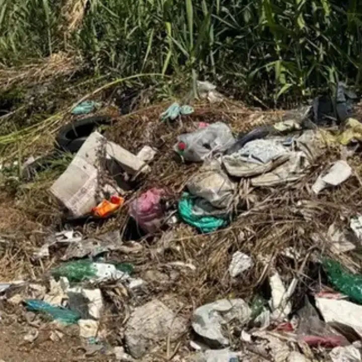 Rifiuti lanciati dalle auto, multe fino a 18mila euro: ora basterà un fotogramma della targa per incastrare il responsabile\n