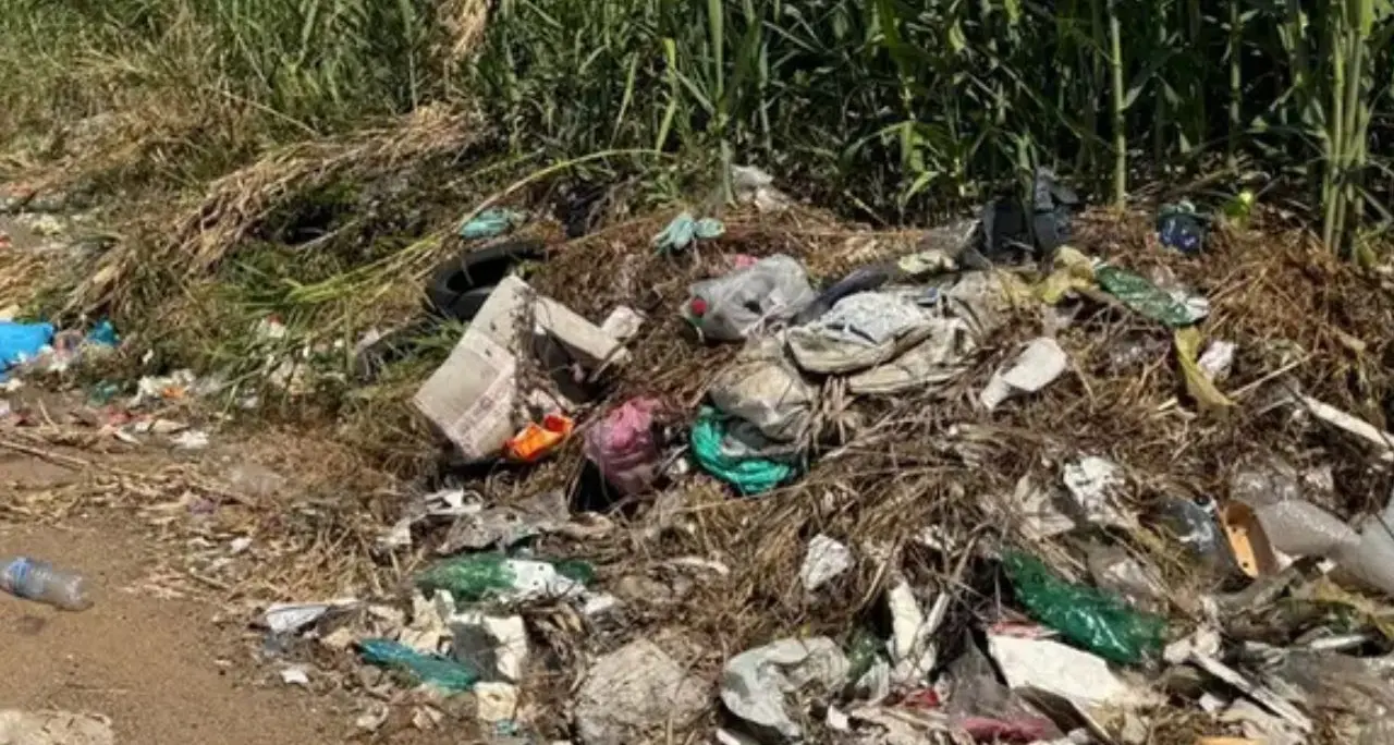 Rifiuti lanciati dalle auto, multe fino a 18mila euro: ora basterà un fotogramma della targa per incastrare il responsabile\n