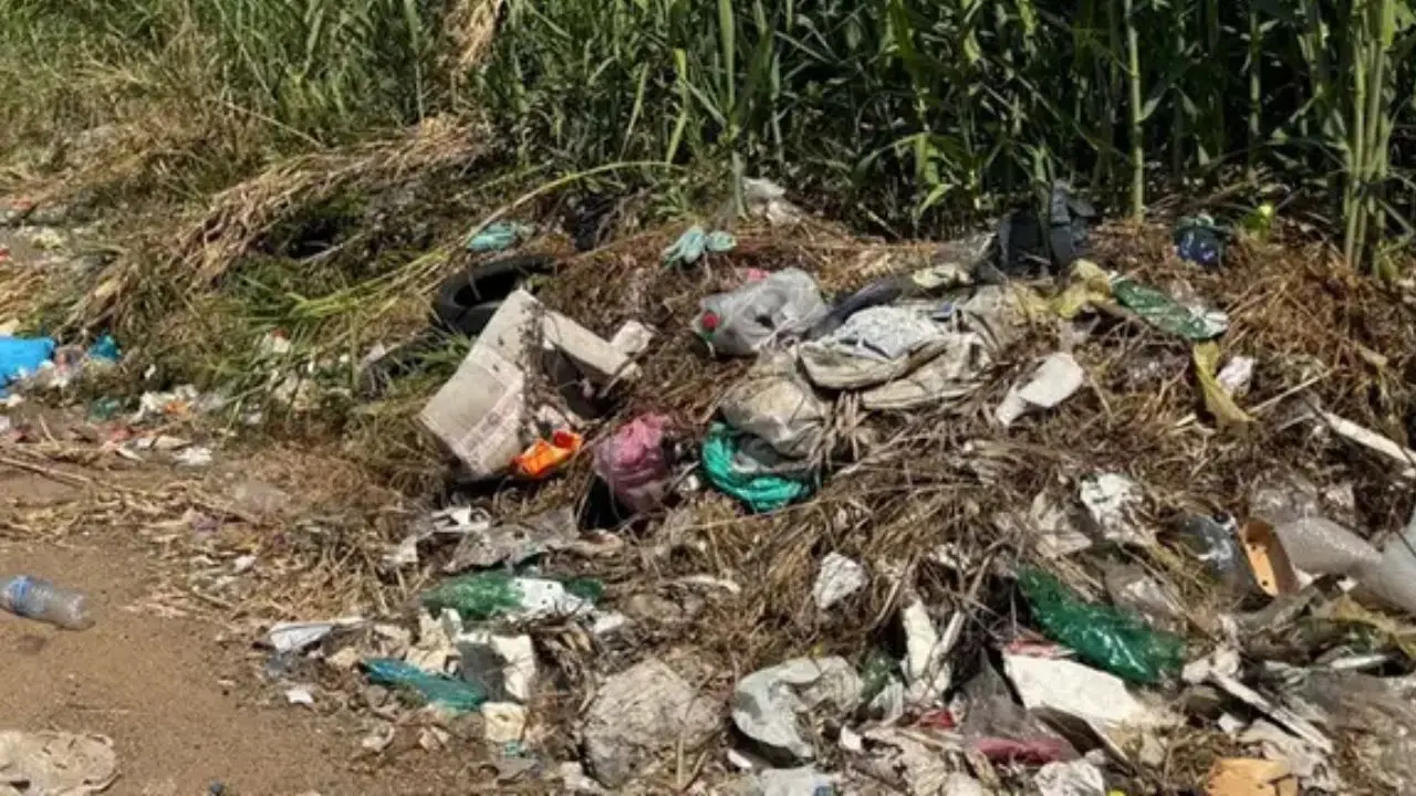 Rifiuti lanciati dalle auto, multe fino a 18mila euro: ora basterà un fotogramma della targa per incastrare il responsabile\n
