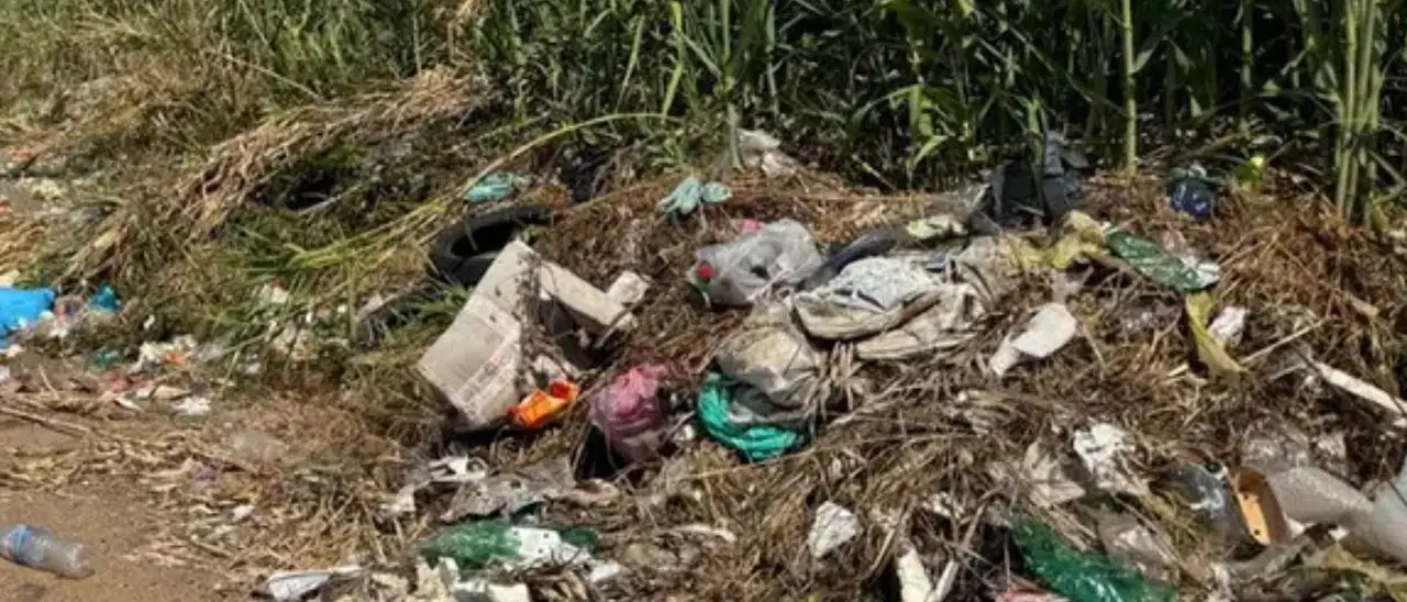 Rifiuti lanciati dalle auto, multe fino a 18mila euro: ora basterà un fotogramma della targa per incastrare il responsabile\n