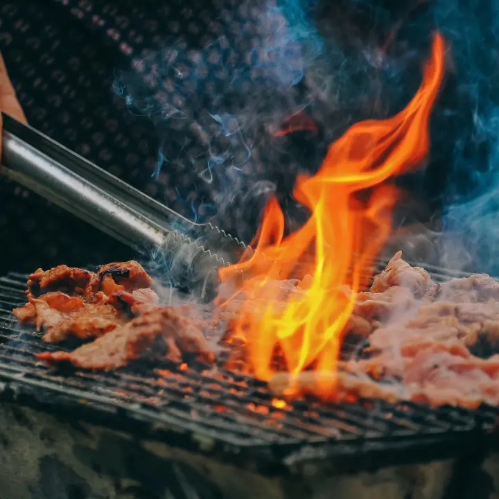 A Catanzaro barbecue e fuochi d'artificio vietati a Ferragosto nelle aree verdi, l'ordinanza del Comune