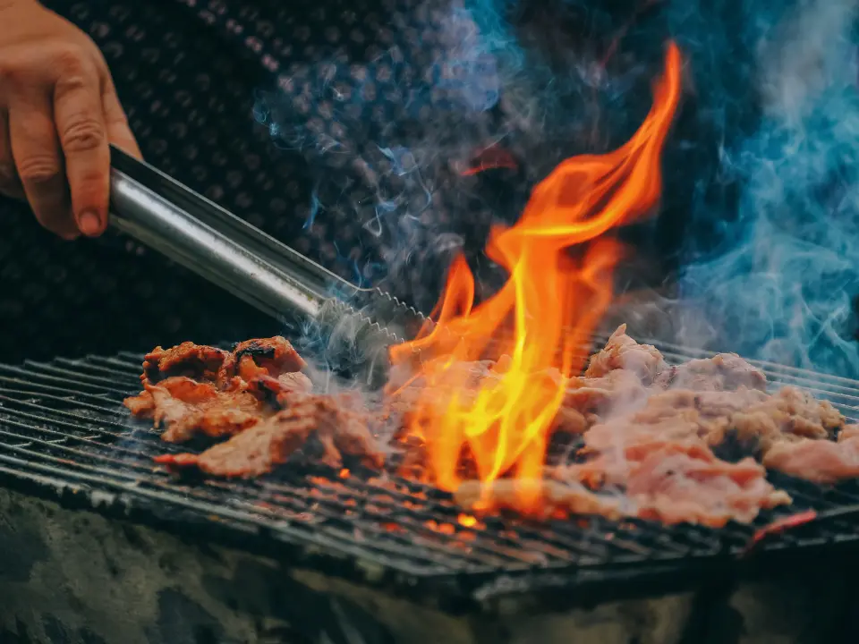 Barbecue e fuochi d'artificio vietati a Ferragosto nelle aree verdi, l'ordinanza del Comune di Catanzaro