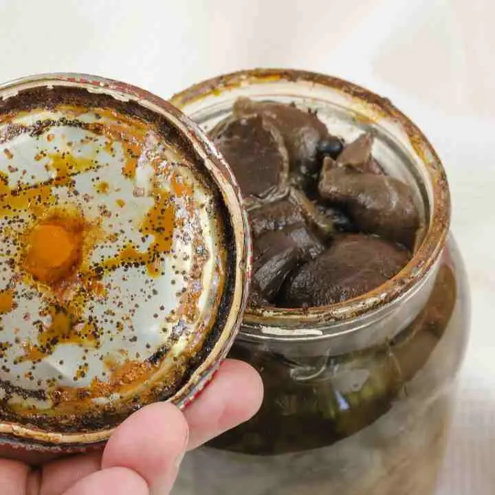 Cibo con botulino, l’International Streetfood annulla gli eventi in Calabria\n