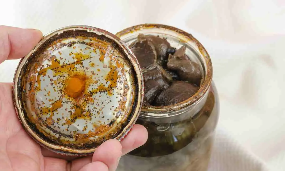 Cibo con botulino, l’International Streetfood annulla gli eventi in Calabria\n