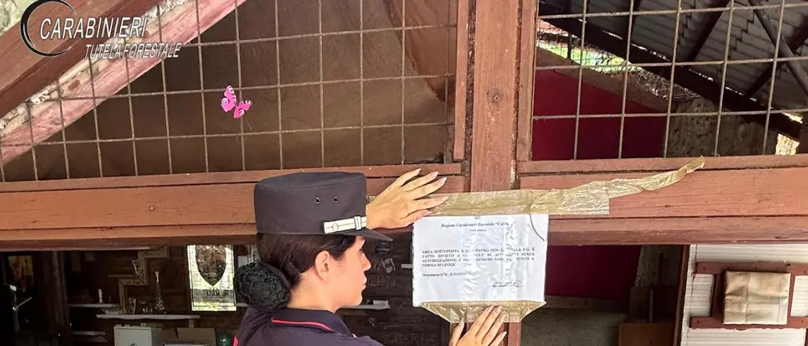 Orsomarso, carenze igienico-sanitarie e locali abusivi: sequestrato ristorante-bar\n