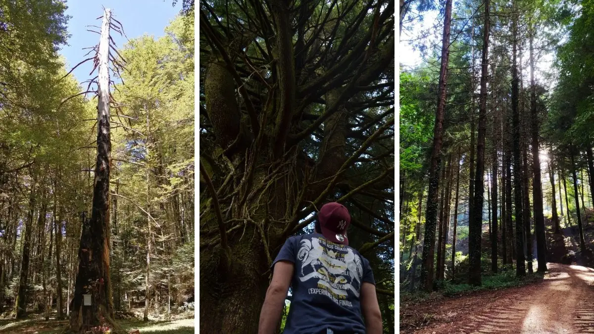 Siti naturalisti nel Vibonese (foto di Giulia e Francesca Scordo)