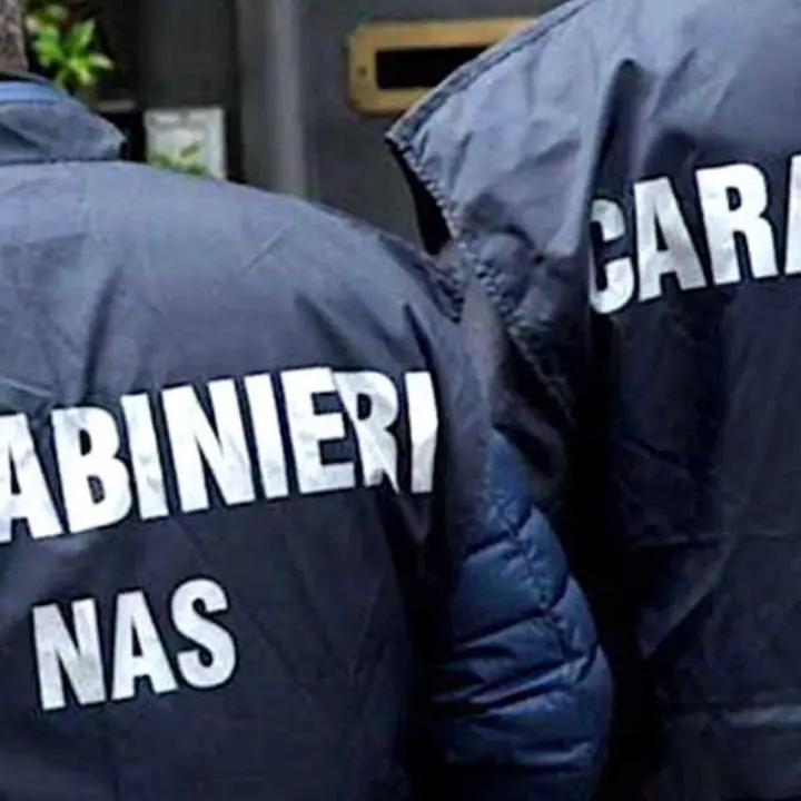 Botulino, i Nas intensificano i controlli in tutta Italia su food truck e sagre\n