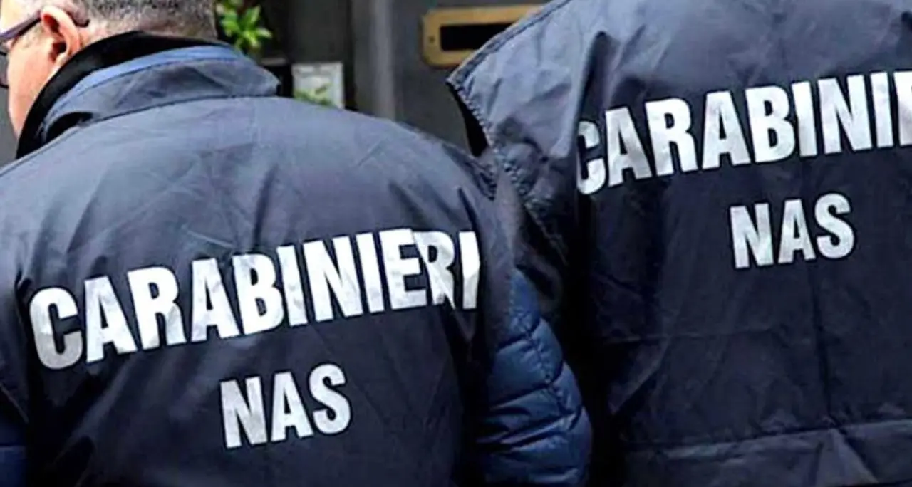 Botulino, i Nas intensificano i controlli in tutta Italia su food truck e sagre\n