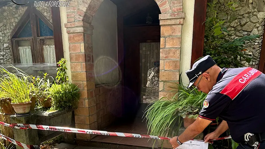 Il sequestro operato dai carabinieri forestali