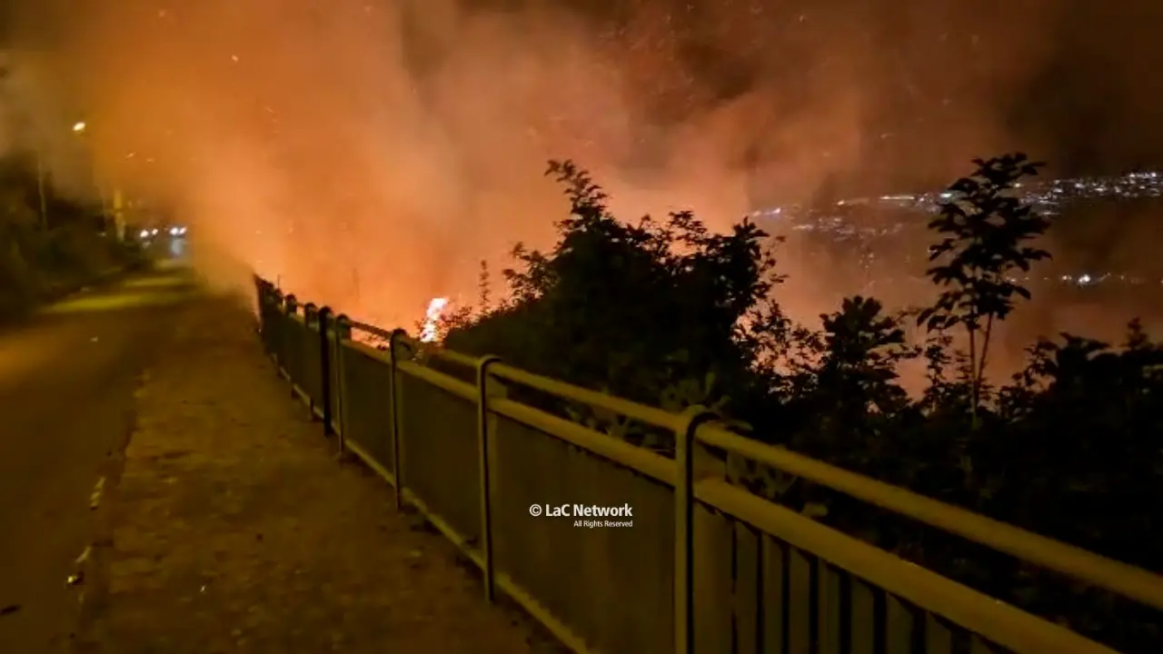 I piromani non si fermano: in fiamme nella notte\u00A0la zona collinare tra Grisolia e Maierà\n