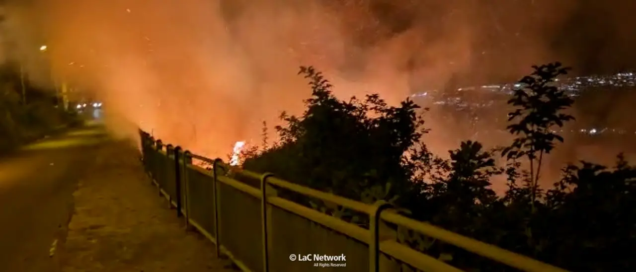 I piromani non si fermano: in fiamme nella notte\u00A0la zona collinare tra Grisolia e Maierà\n