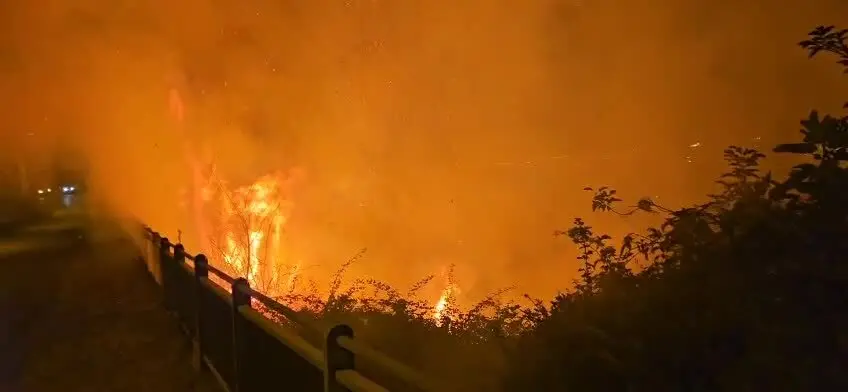 Incendio sulle colline di Grisolia