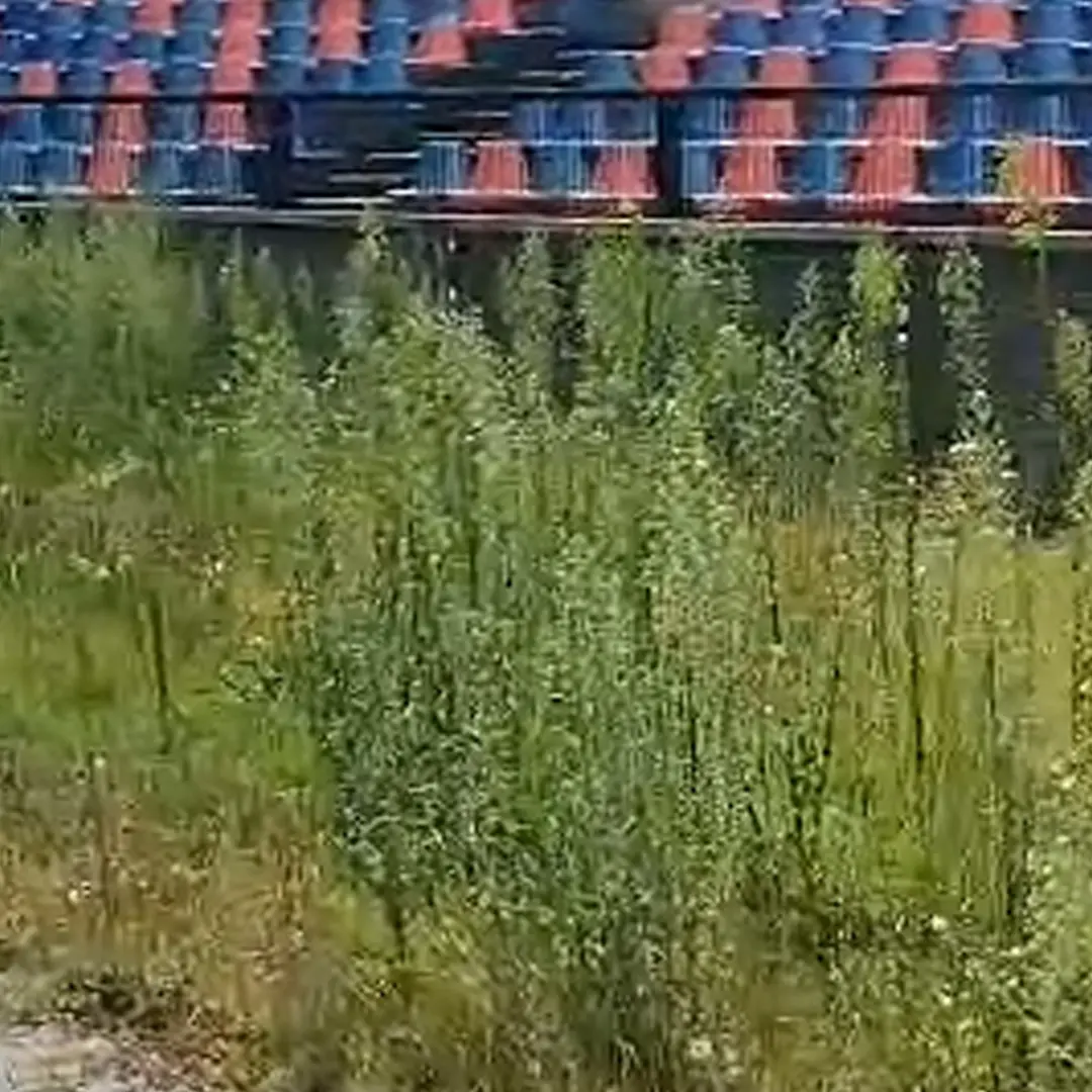 Erba alta e sporcizia, stadio Marulla in condizioni imbarazzanti | IL VIDEO