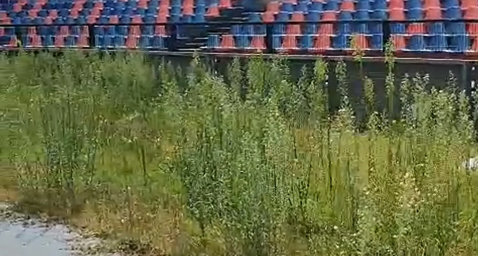 Erba alta e sporcizia, stadio Marulla in condizioni imbarazzanti | IL VIDEO
