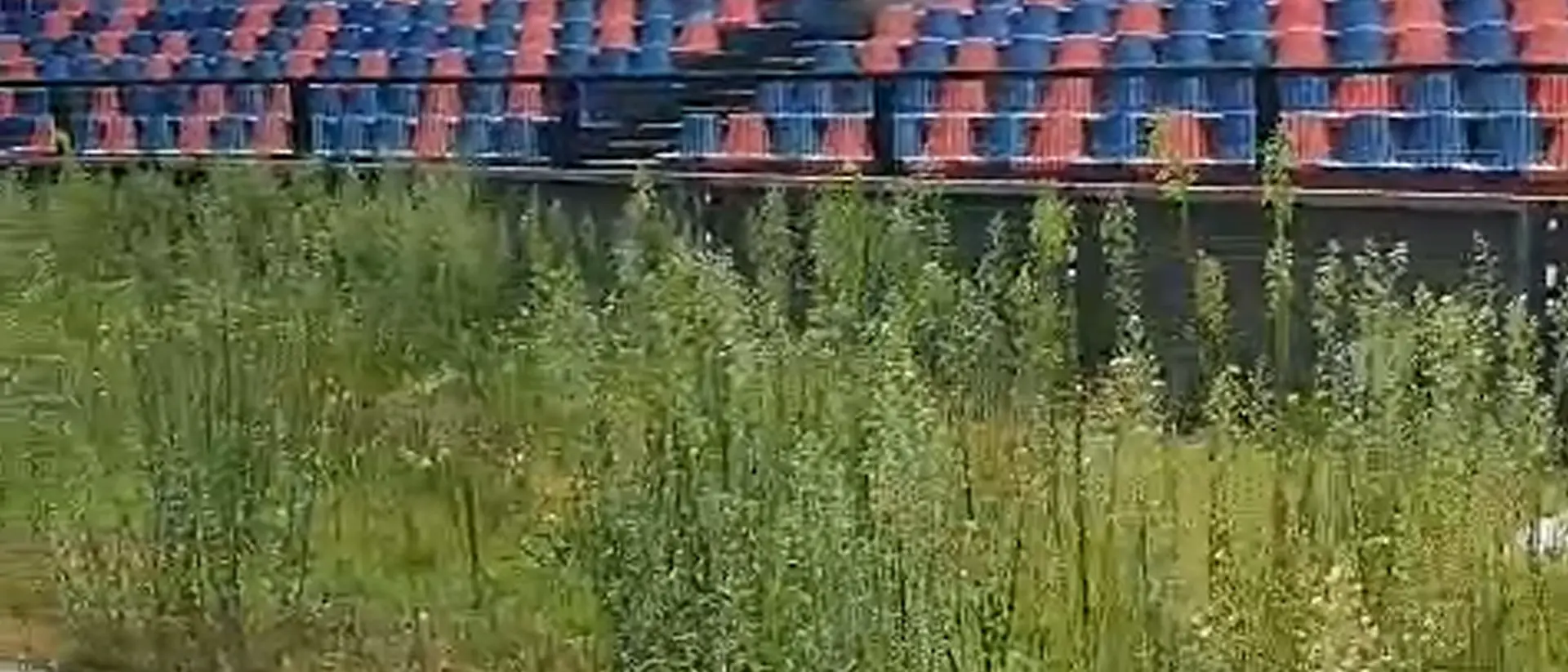 Erba alta e sporcizia, stadio Marulla in condizioni imbarazzanti | IL VIDEO