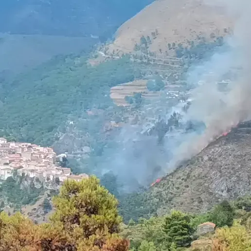 Tortora, incendio devasta ettari di vegetazione e sfiora abitazioni e hotel\n