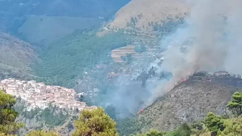 <p>Incendio a Tortora, nel Cosentino (Ansa)</p>\\n