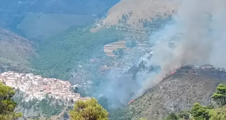 Tortora, incendio devasta ettari di vegetazione e sfiora abitazioni e hotel\n