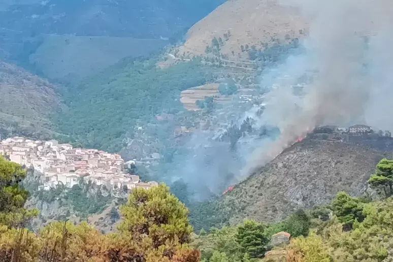 Tortora, incendio devasta ettari di vegetazione e sfiora abitazioni e hotel\n
