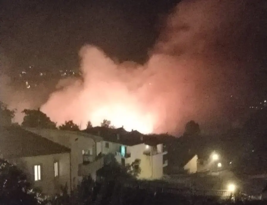 Fuscaldo brucia, vasto incendio divampa nella zona collinare\n